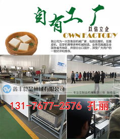 河南商丘豆腐皮機(jī)采購(gòu)指南 廠家直銷(xiāo)、商用價(jià)格與購(gòu)買(mǎi)渠道